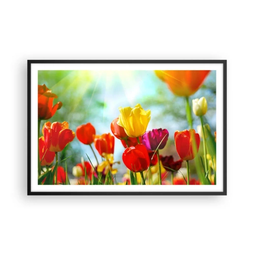 Poster in einem schwarzem Rahmen - Alle Farben der Sonne - 91x61 cm