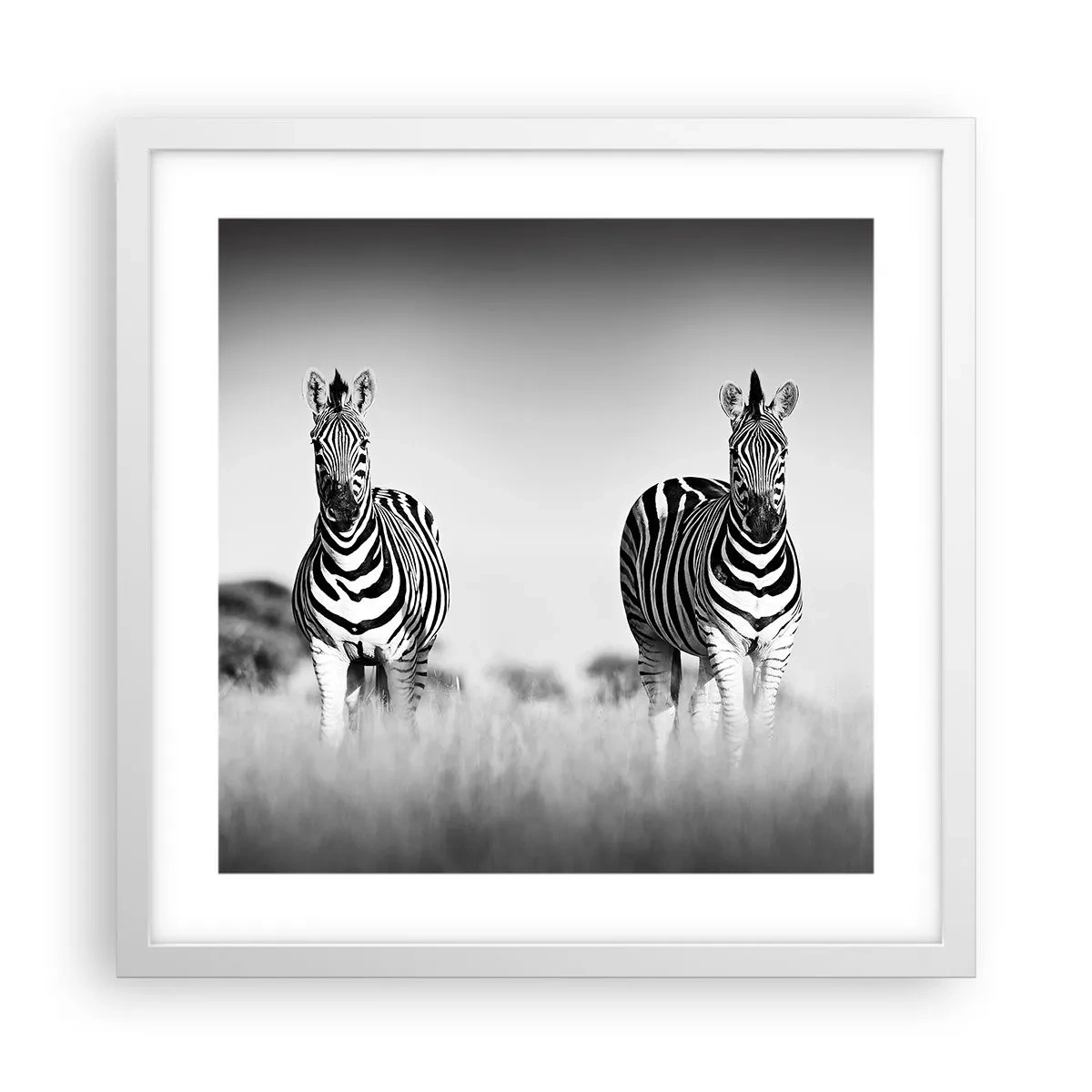 Poster in einem weißen Rahmen - Die Welt ist doch schwarz-weiß - 40x40 cm