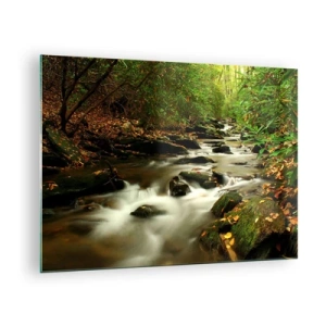 Glasbild - Bild auf glas - Ein Bach im Wald, umgeben von Steinen und Blättern - 70x50cm - Wie flüssiges Silber - Moderne Wanddekoration für Wohnzimmer und Schlafzimmer ARTTOR
