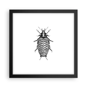 Poster in einem schwarzem Rahmen - Was für ein Exemplar! - 30x30 cm