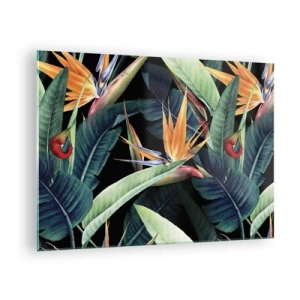 Glasbild - Bild auf glas - Strelitzia-Blüten und tropische Blätter auf schwarzem Hintergrund - 70x50cm - Flammende Blumen der Tropen - Moderne Wanddekoration für Wohnzimmer und Schlafzimmer ARTTOR