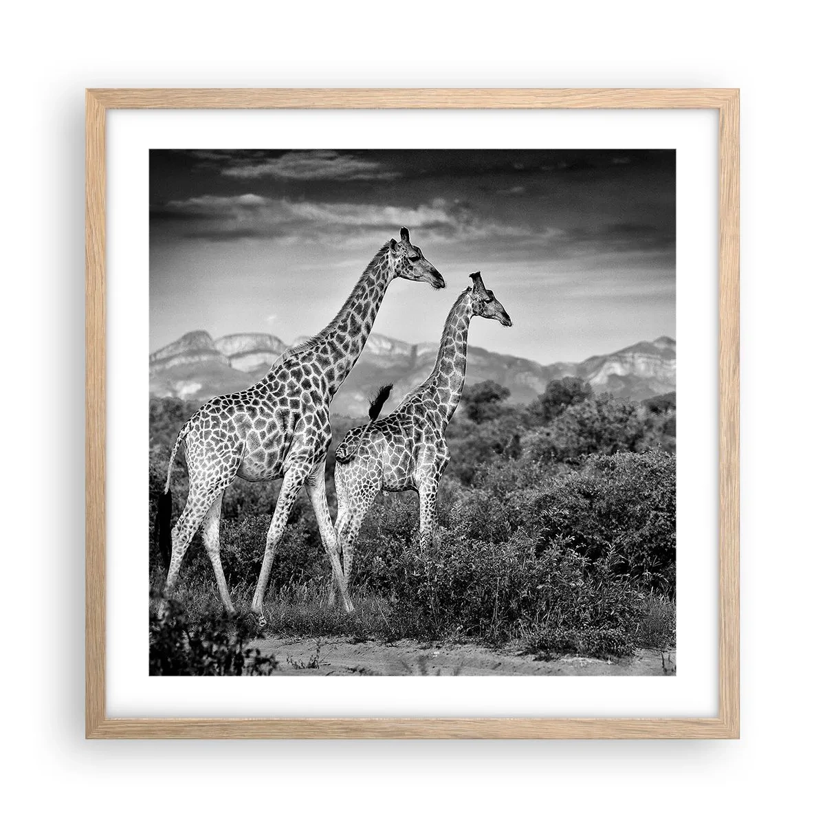 Poster in einem Rahmen aus heller Eiche - Hohe Sphären in Afrika - 50x50 cm