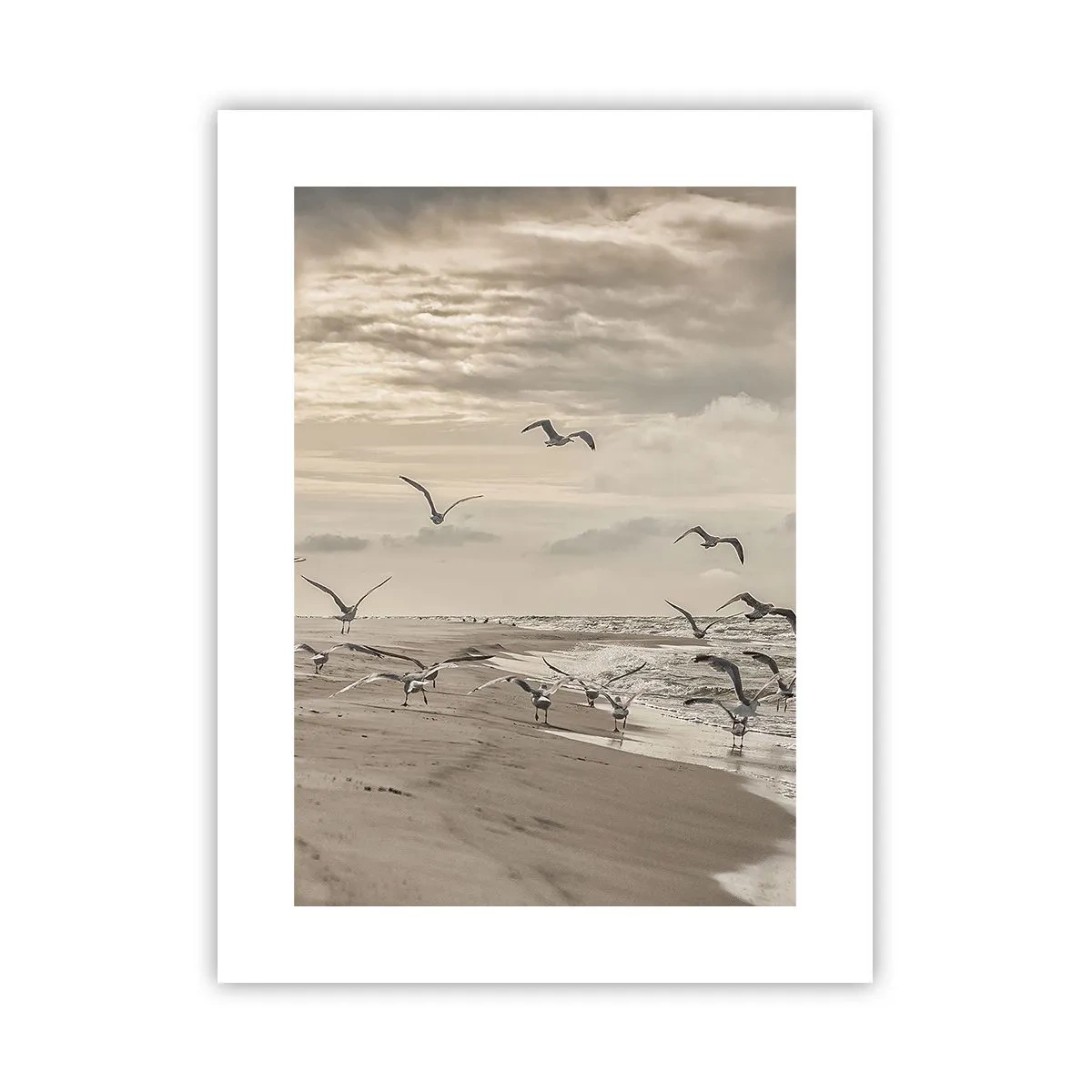 Poster - Meeresrauschen, Vogelgesang - 30x40 cm