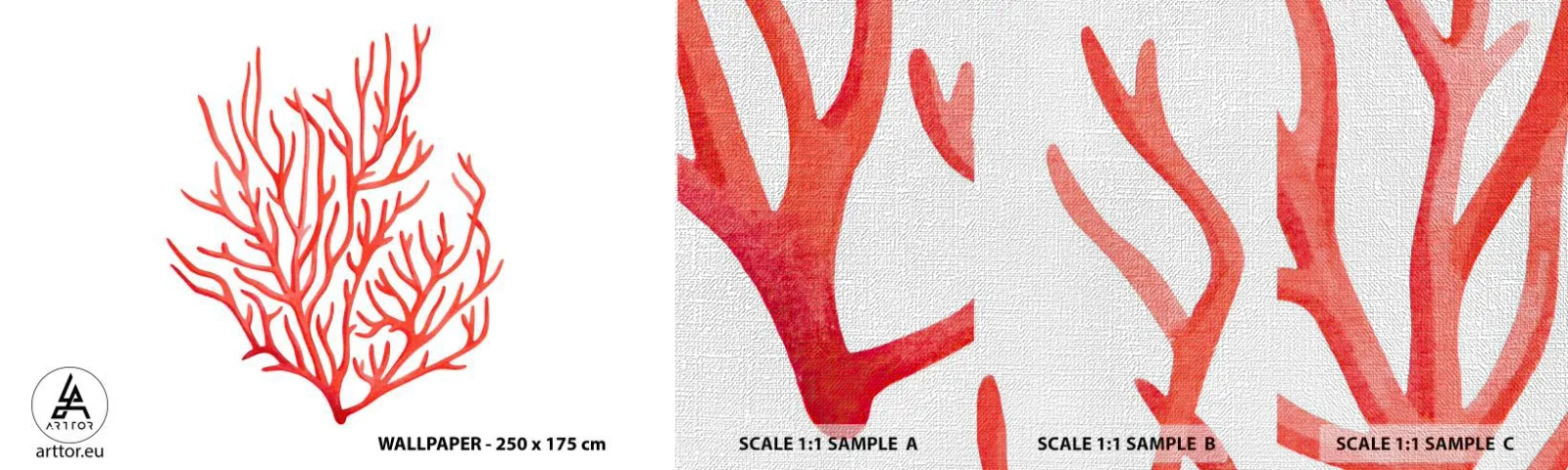 Fototapeten Muster Premium Canvas - Korallenfiligran - Korallenriff, Strand, Minimalistisch - 100x30 cm