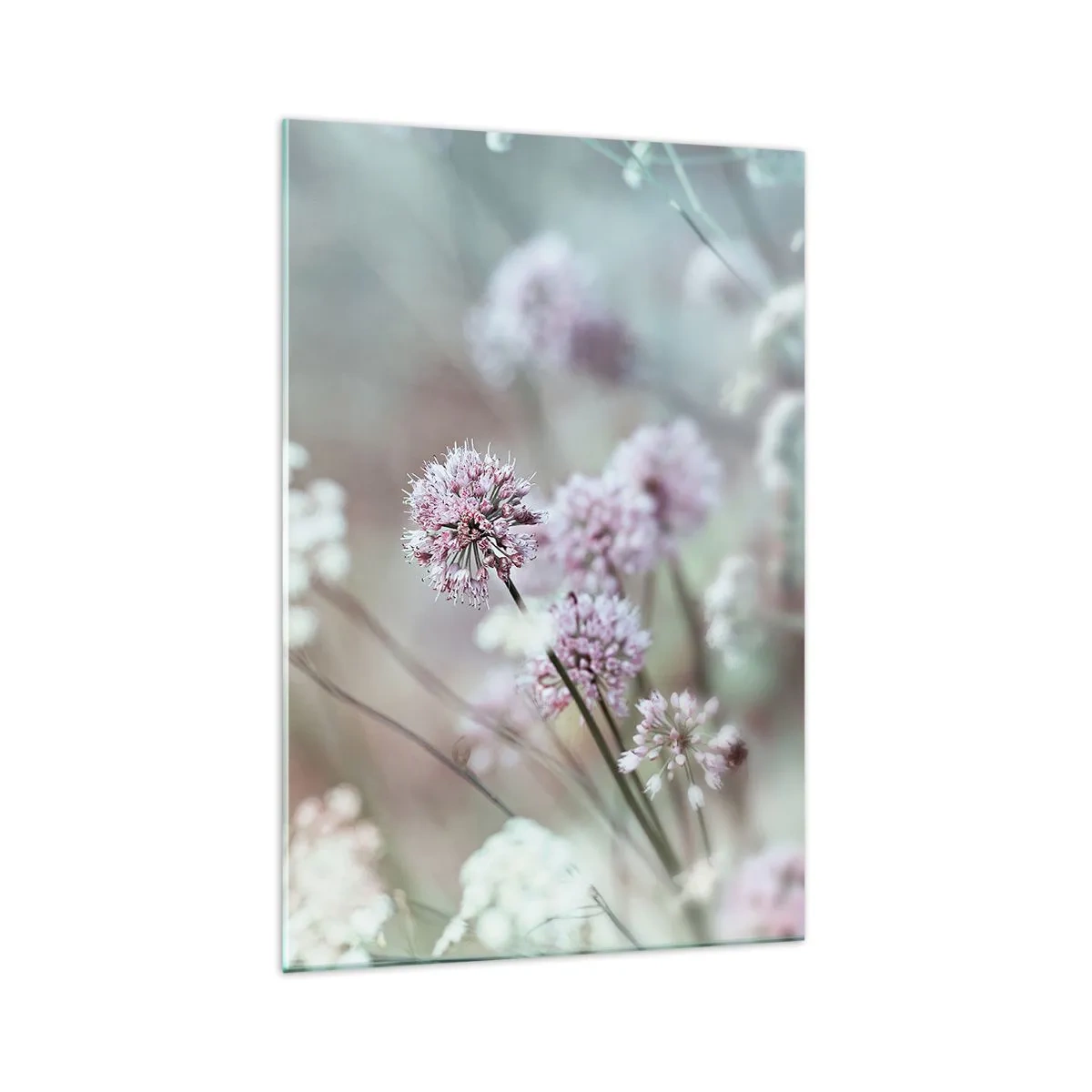 Glasbild - Bild auf glas - Zarte Blüten in Pastelltönen - 70x100cm - Süße filigrane Kräuter - Moderne Wanddekoration für Wohnzimmer und Schlafzimmer ARTTOR