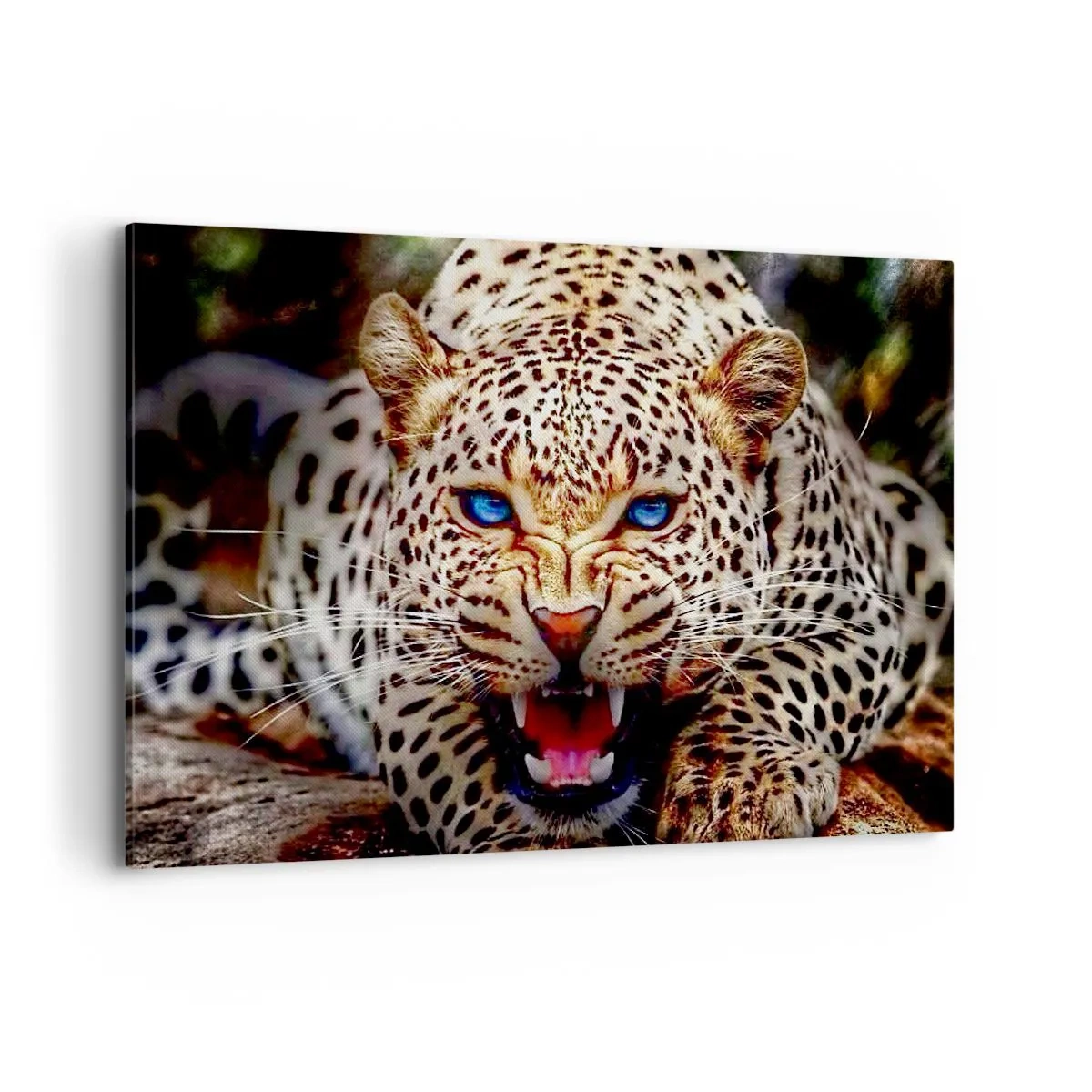 Bild auf Leinwand - Leinwandbild - Ein bedrohlicher Leopard mit intensiv blauen Augen - 100x70cm - Schönheitswut tut nicht weh - Moderne Wanddekoration für Wohnzimmer und Schlafzimmer ARTTOR