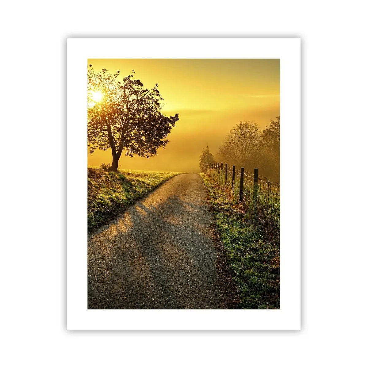 Poster - Honig-Nachmittag - 40x50 cm