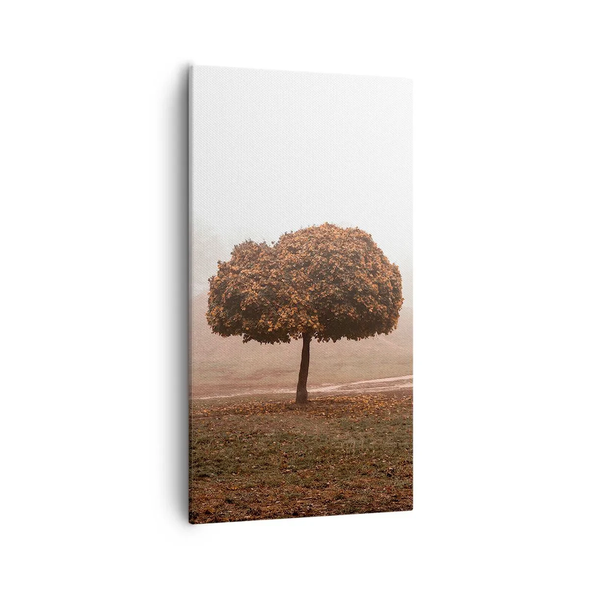 Bild auf Leinwand - Leinwandbild - Nach einem anstrengenden Sommer - 55x100 cm