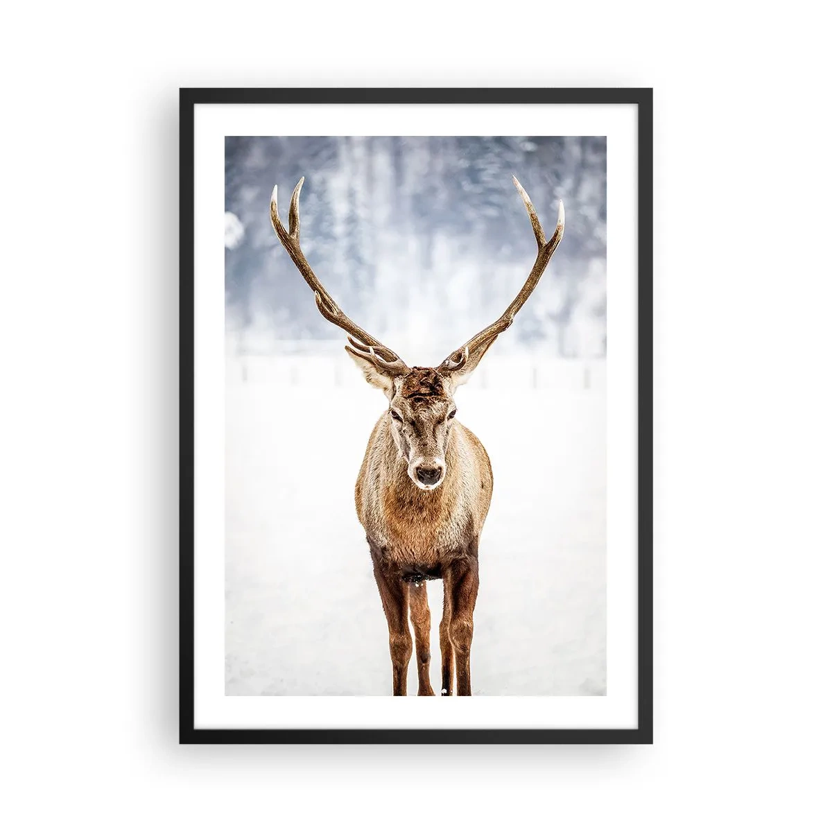 Poster in einem schwarzem Rahmen - Ein stattlicher Hirsch vor der Kulisse einer Winterlandschaft - 50x70cm - Direkt aus dem Schneenebel - Moderne Wanddekoration für Wohnzimmer und Schlafzimmer ARTTOR