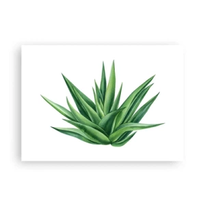 Poster - Grün – Kraft – Leben - 70x50 cm