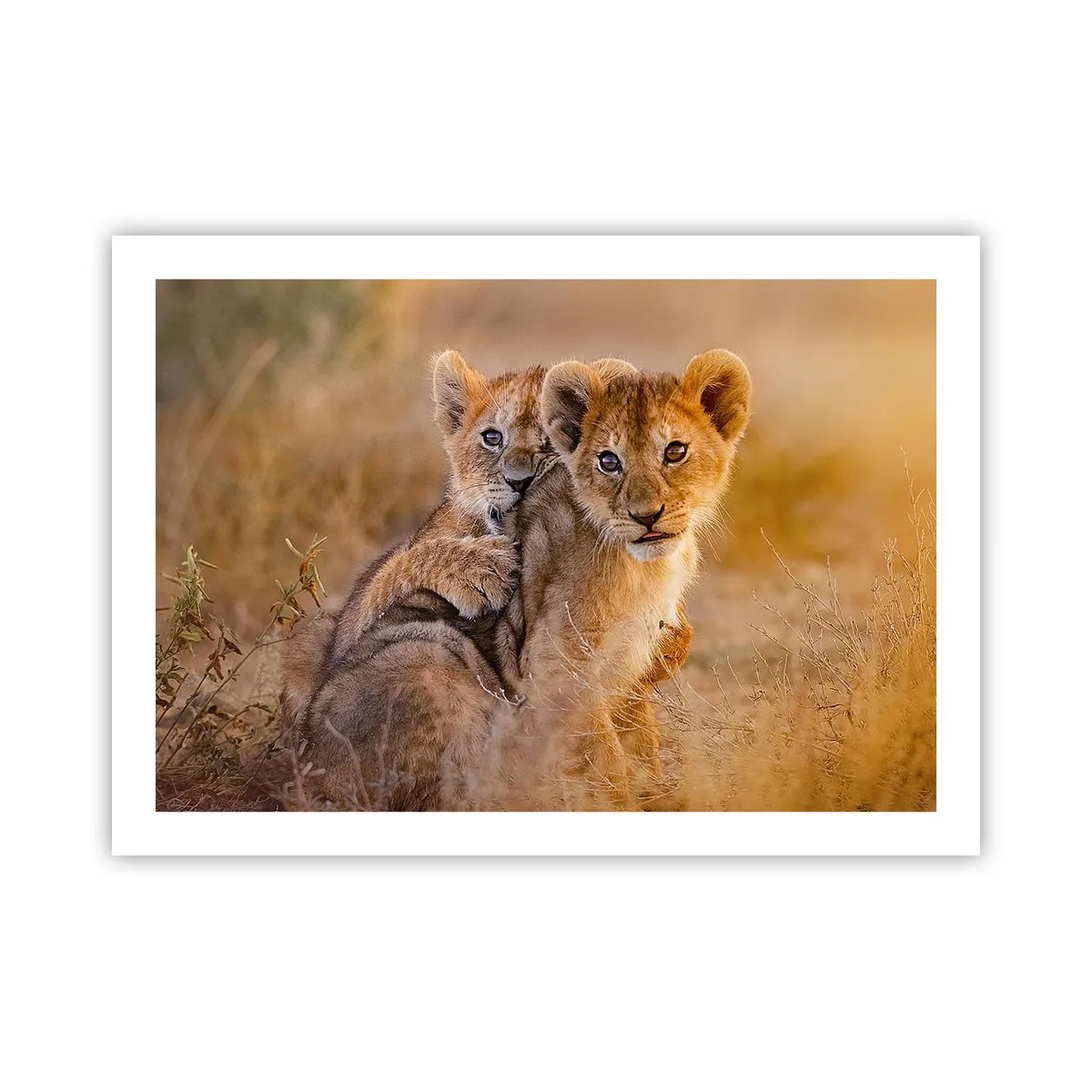 Poster - Bitte nicht stören! Wir haben Spaß - 70x50 cm