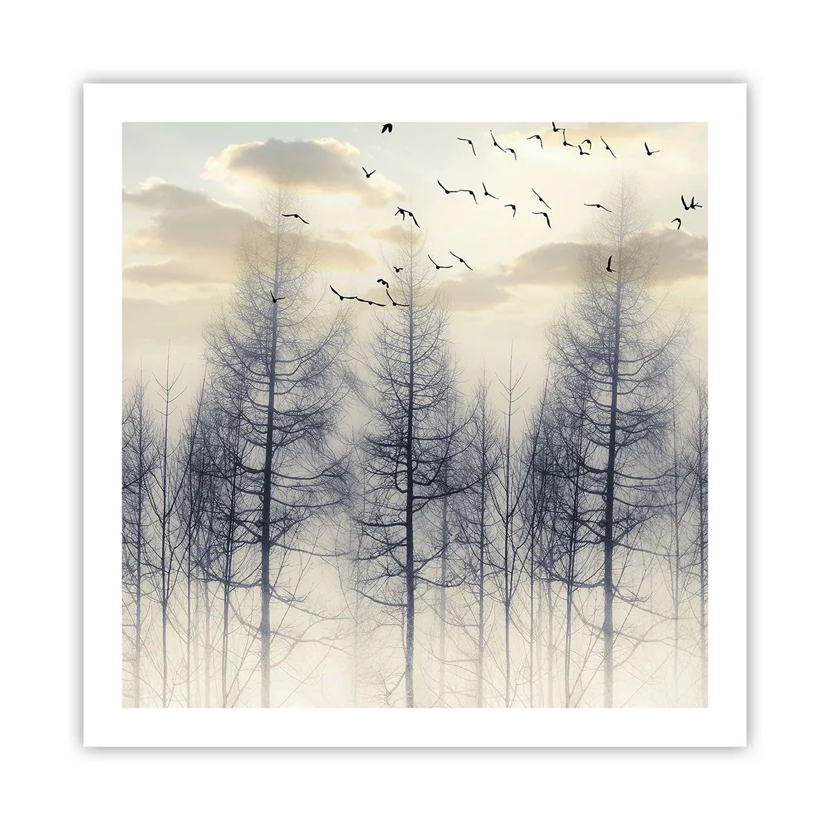 Poster - Waldgeister - 60x60 cm