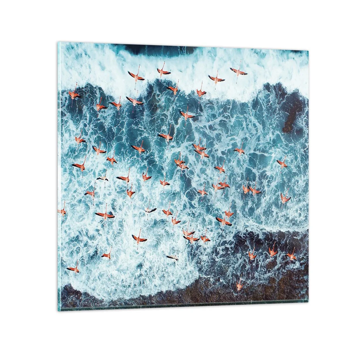 Glasbild - Bild auf glas - Die Küstenparade - 60x60 cm