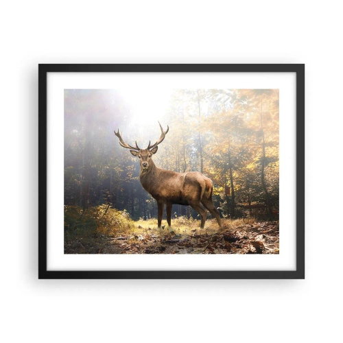 Poster in einem schwarzem Rahmen - In voller Majestät - 50x40 cm