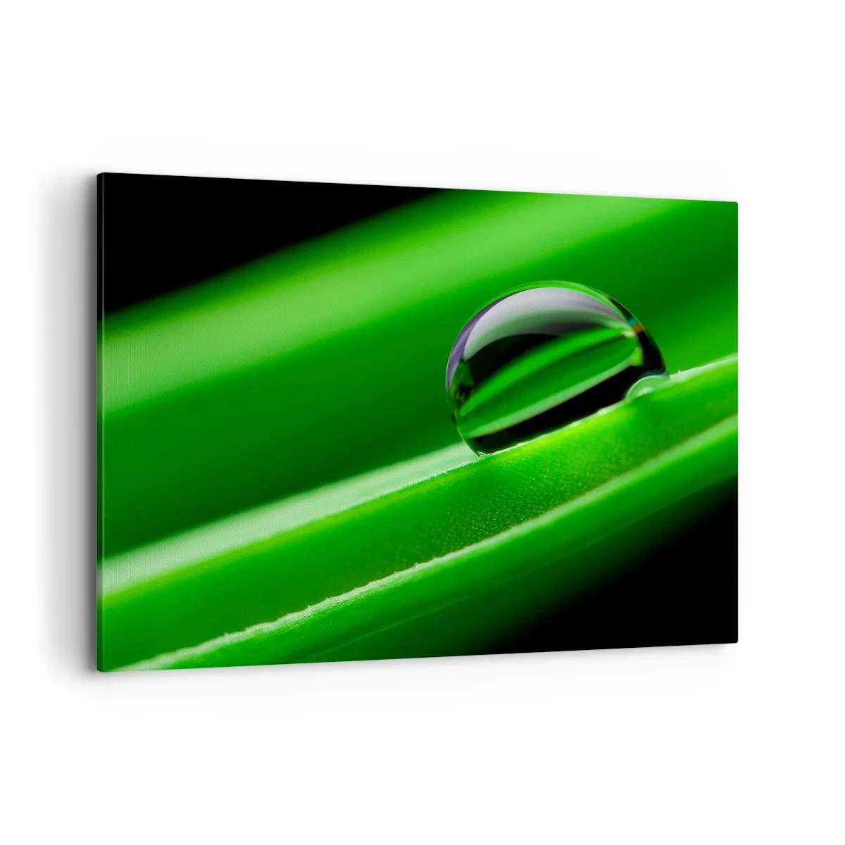 Bild auf Leinwand - Leinwandbild - Nahaufnahme eines Tautropfens auf einem grünen Blatt - 100x70cm - Leben hautnah - Moderne Wanddekoration für Wohnzimmer und Schlafzimmer ARTTOR