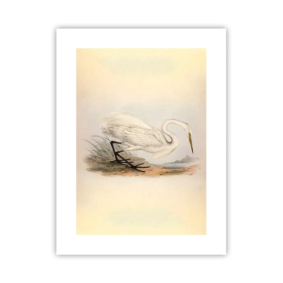 Poster - Dame auf den Binsen - 30x40 cm