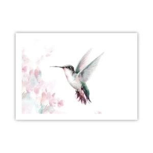 Poster - Im Flattern gehalten - 70x50 cm