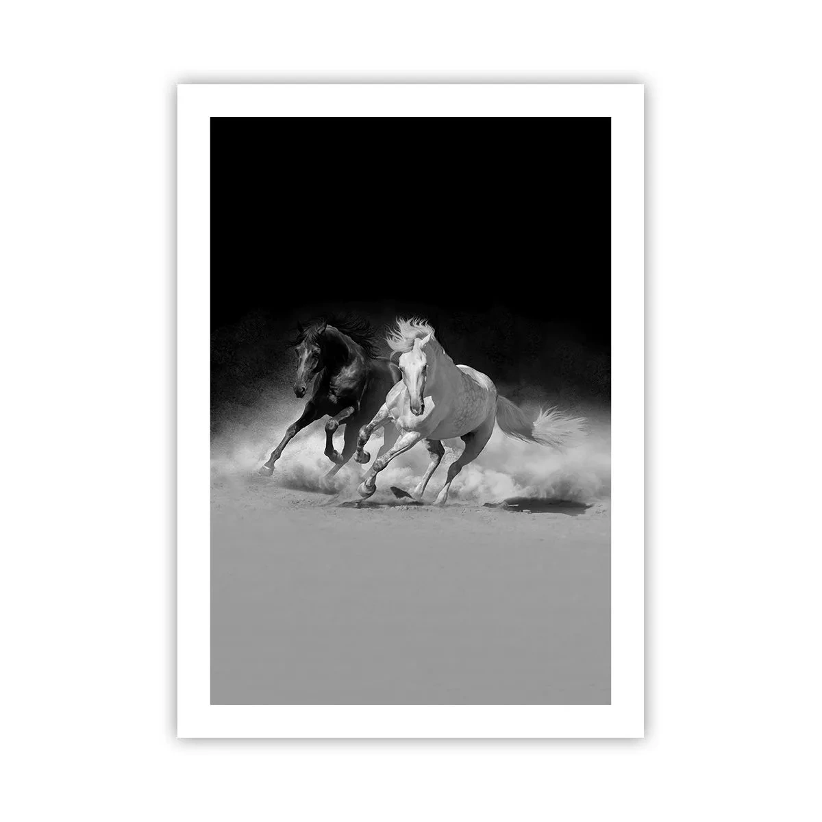 Poster - Galoppierende Pferde vor monochromem Hintergrund - 50x70cm - Galopp der Freiheit - Moderne Wanddekoration für Wohnzimmer und Schlafzimmer ARTTOR