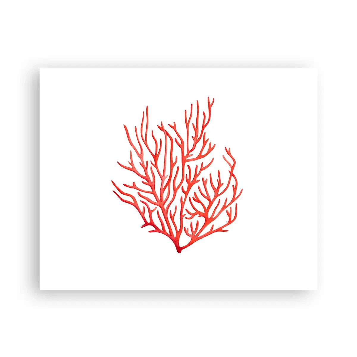 Poster - Korallenfiligran - 50x40 cm
