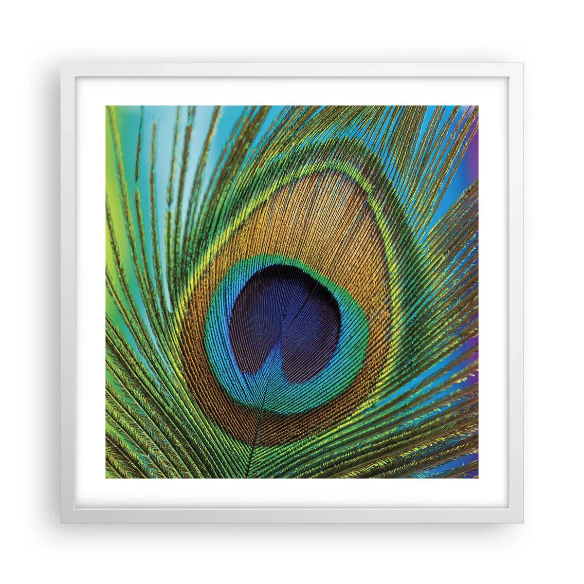 Poster in einem weißen Rahmen - Auge in Auge - 50x50 cm