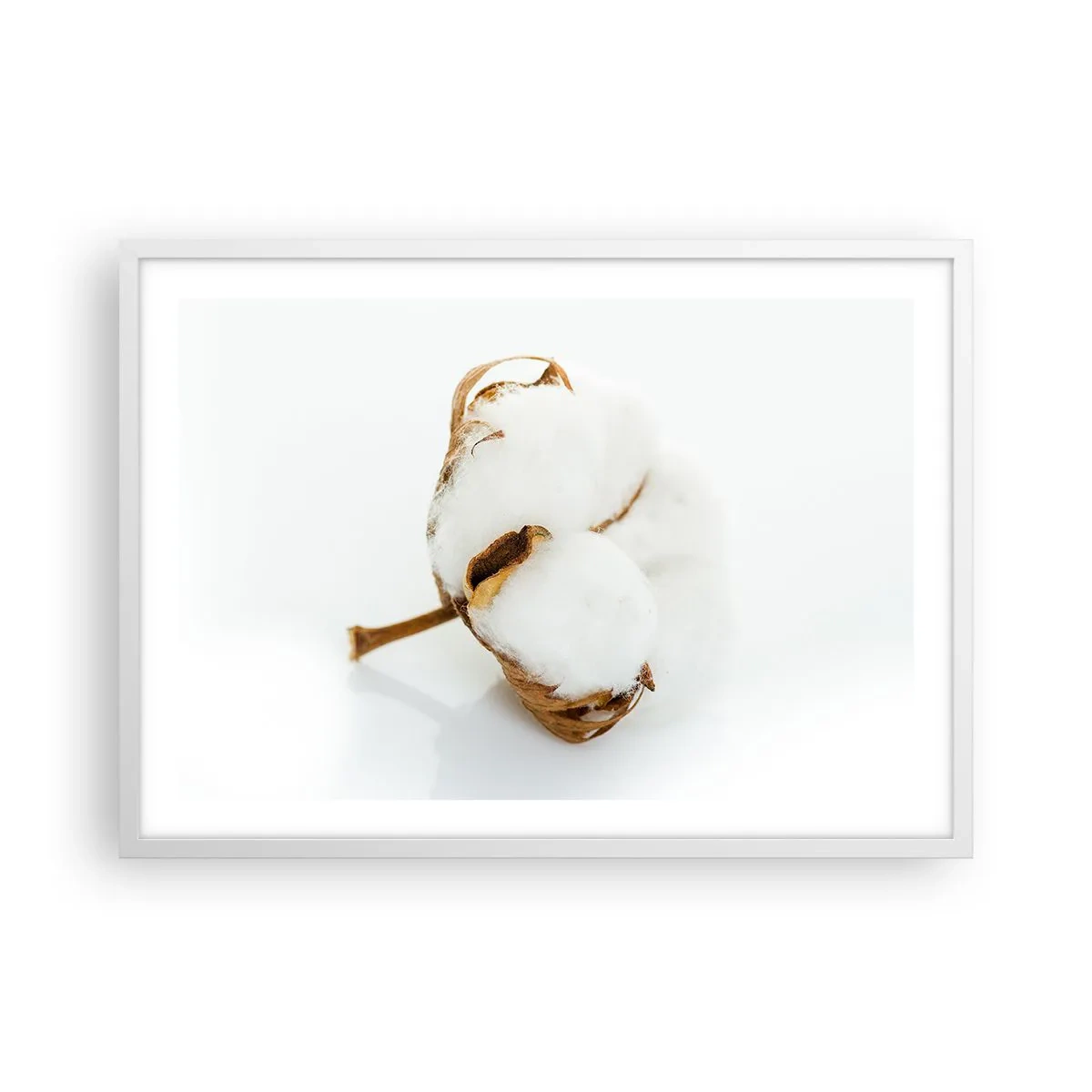 Poster in einem weißen Rahmen - Von Natur aus weich - 70x50 cm