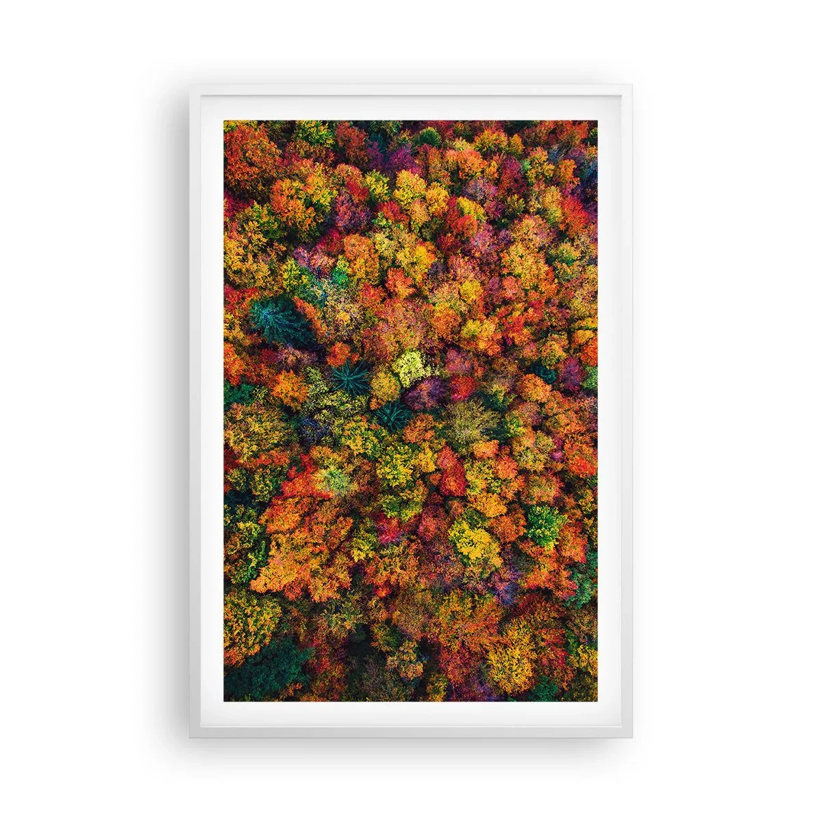 Poster in einem weißen Rahmen - Blumenstrauß aus Herbstbäumen - 61x91 cm