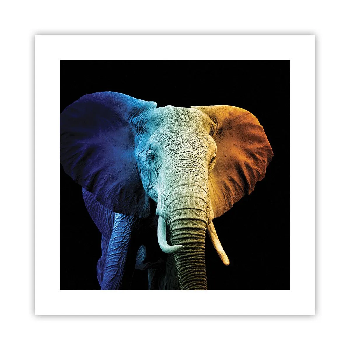 Poster - Exzentrisch, kein Verrückter - 40x40 cm