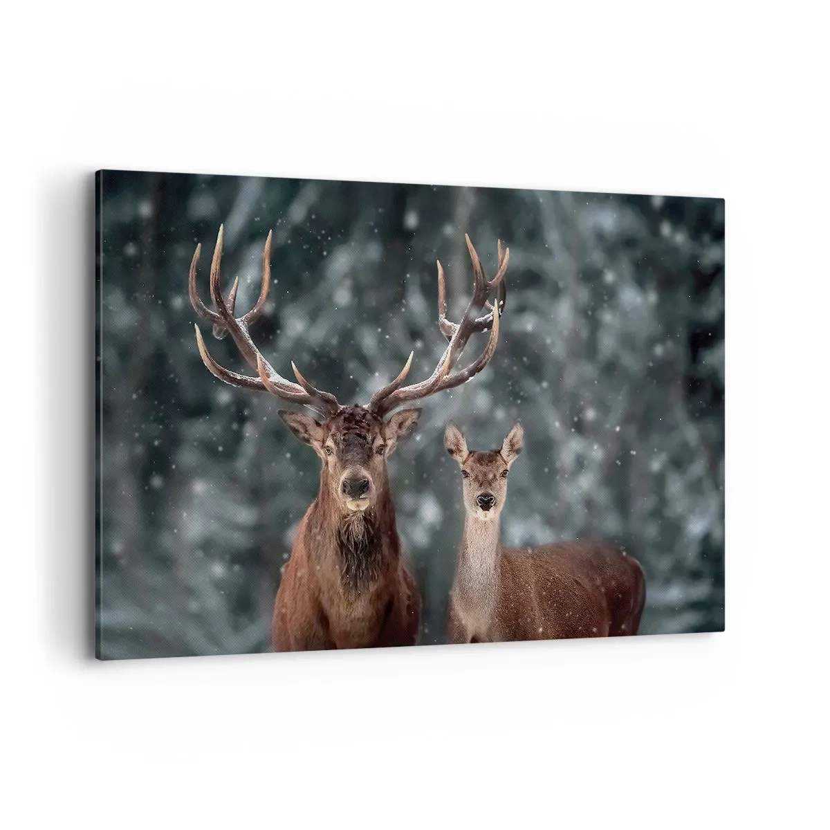 Bild auf Leinwand - Leinwandbild - Hirsche im verschneiten Winterwald - 120x80cm - Herr des Waldes mit seiner Frau - Moderne Wanddekoration für Wohnzimmer und Schlafzimmer ARTTOR