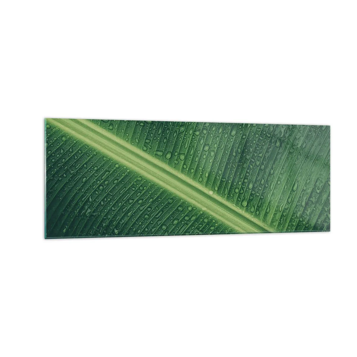 Glasbild - Bild auf glas - Ein grünes Blatt mit Wassertropfen auf der Oberfläche - 140x50cm - Die Struktur des Grüns - Moderne Wanddekoration für Wohnzimmer und Schlafzimmer ARTTOR