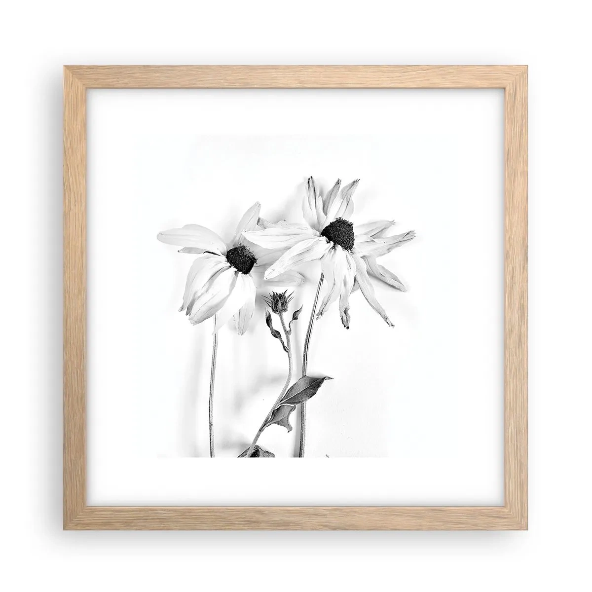 Poster in einem Rahmen aus heller Eiche - Niemand will allein sein - 30x30 cm