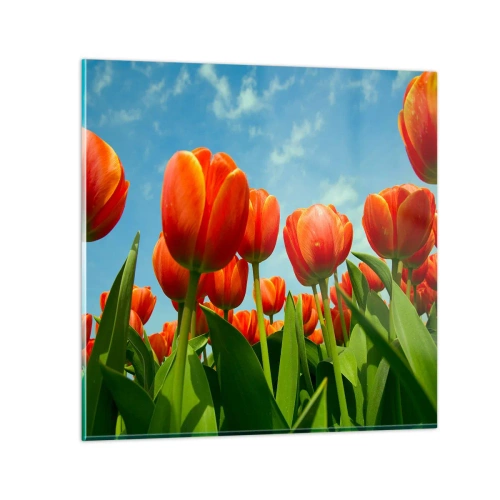 Glasbild - Bild auf glas - Außer dem blauen Himmel brauchen sie nichts in ihrem Leben - 50x50 cm