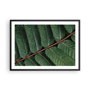 Poster in einem schwarzem Rahmen - Makroaufnahme von grünen Blättern mit Tautropfen - 70x50cm - Im grünen Rhythmus - Moderne Wanddekoration für Wohnzimmer und Schlafzimmer ARTTOR