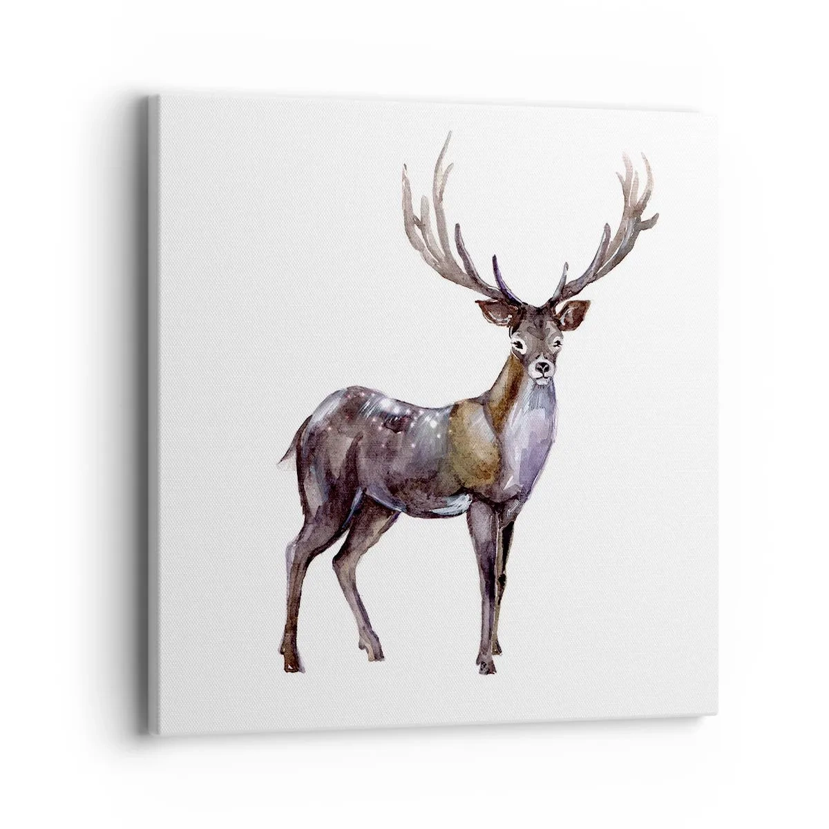 Bild auf Leinwand - Leinwandbild - König des nördlichen Waldes - 40x40 cm