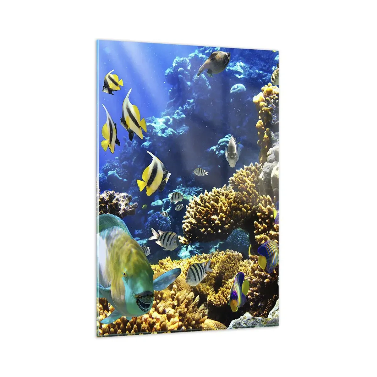 Glasbild - Bild auf glas - Ein farbenfrohes Korallenriff mit tropischen Fischen in den Tiefen des Ozeans. - 80x120cm - Viel Verkehr auf dem Ferienweg - Moderne Wanddekoration für Wohnzimmer und Schlafzimmer ARTTOR