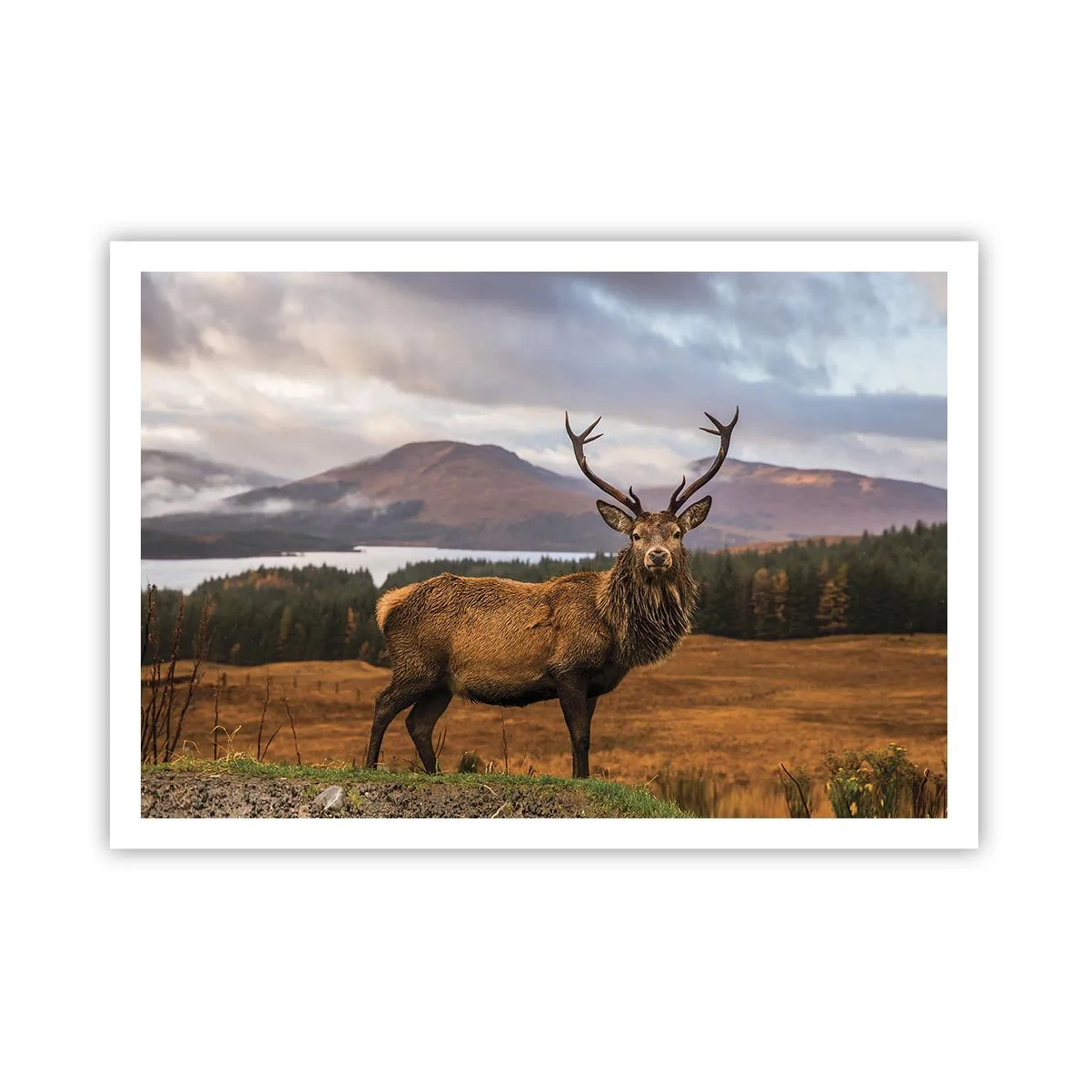 Poster - Ein Hirsch vor der Kulisse einer Berglandschaft mit Seen und Wäldern - 100x70cm - Die Majestät der Natur - Moderne Wanddekoration für Wohnzimmer und Schlafzimmer ARTTOR