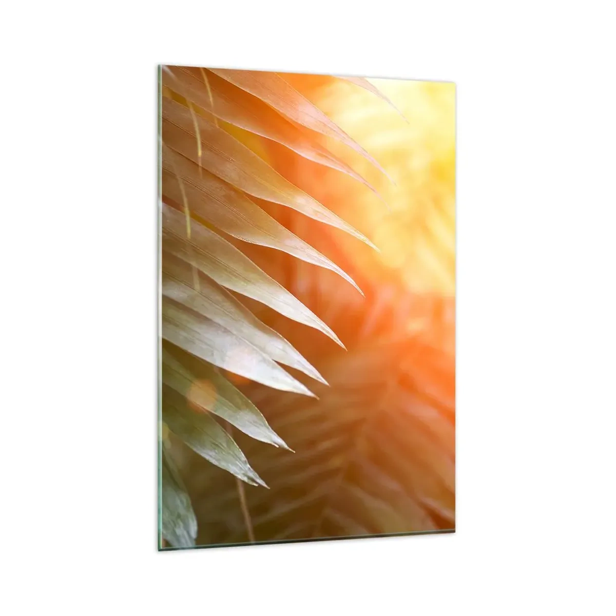 Glasbild - Bild auf glas - Palmblätter in den Strahlen des Sonnenuntergangs - 80x120cm - Morgen im Dschungel - Moderne Wanddekoration für Wohnzimmer und Schlafzimmer ARTTOR