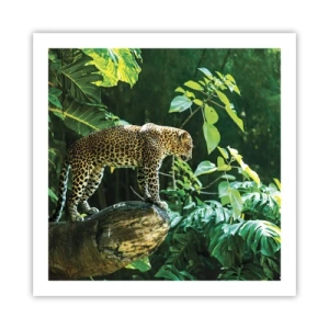 Poster - Auf die Jagd? - 60x60 cm