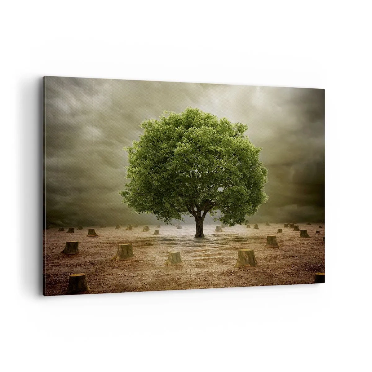 Bild auf Leinwand - Leinwandbild - Ein grüner Baum, umgeben von gefällten Baumstämmen vor einem bewölkten Himmel - 120x80cm - Alle Hoffnung - Moderne Wanddekoration für Wohnzimmer und Schlafzimmer ARTTOR