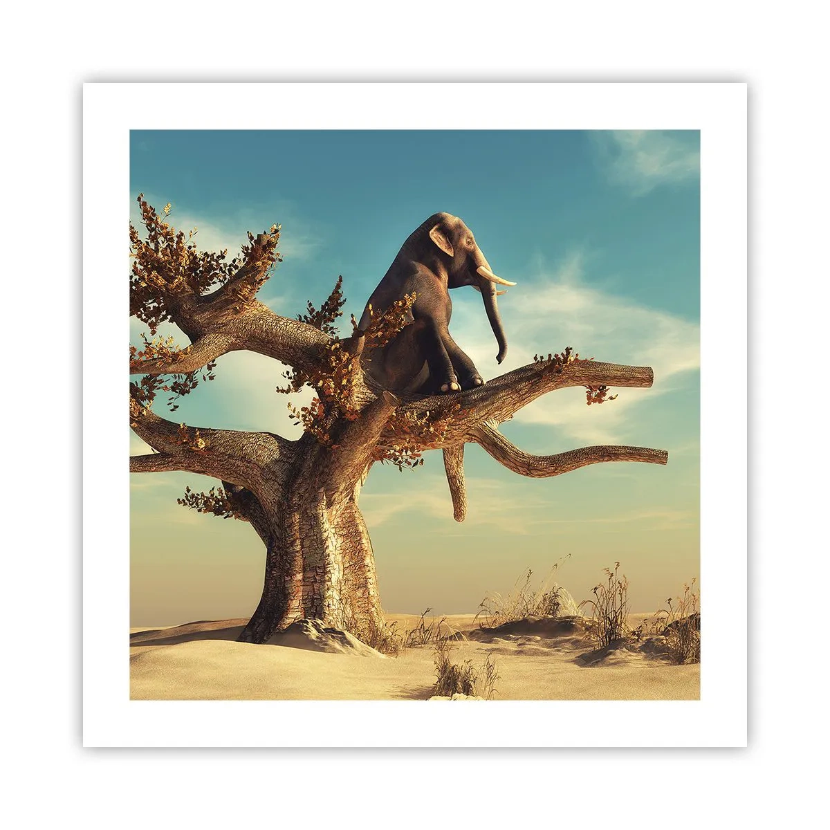 Poster - Ein neuer Standpunkt - 50x50 cm