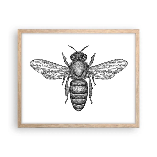 Poster in einem Rahmen aus heller Eiche - Insektenporträt - 50x40 cm