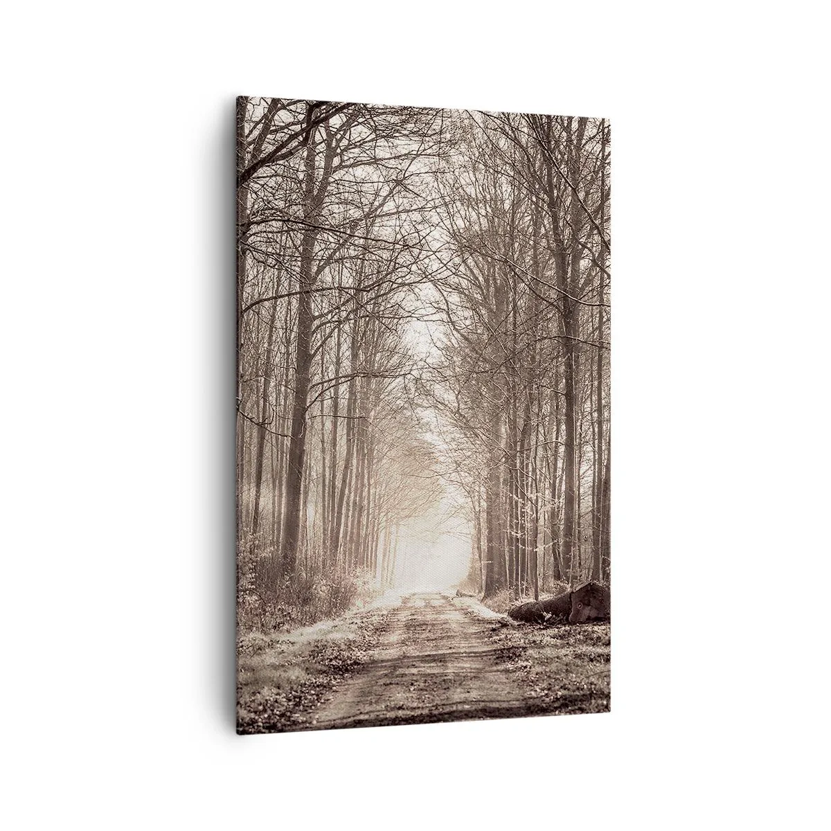 Bild auf Leinwand - Leinwandbild - Ein Waldweg zwischen sepiafarbenen Bäumen - 80x120cm - Waldkathedrale - Moderne Wanddekoration für Wohnzimmer und Schlafzimmer ARTTOR