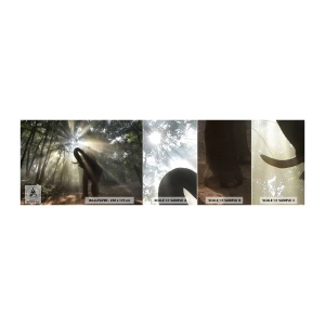 Fototapetenmuster Standard Eco - Unter dem Glücksstern - Landschaft, Elefant, Dschungel - 100x30 cm