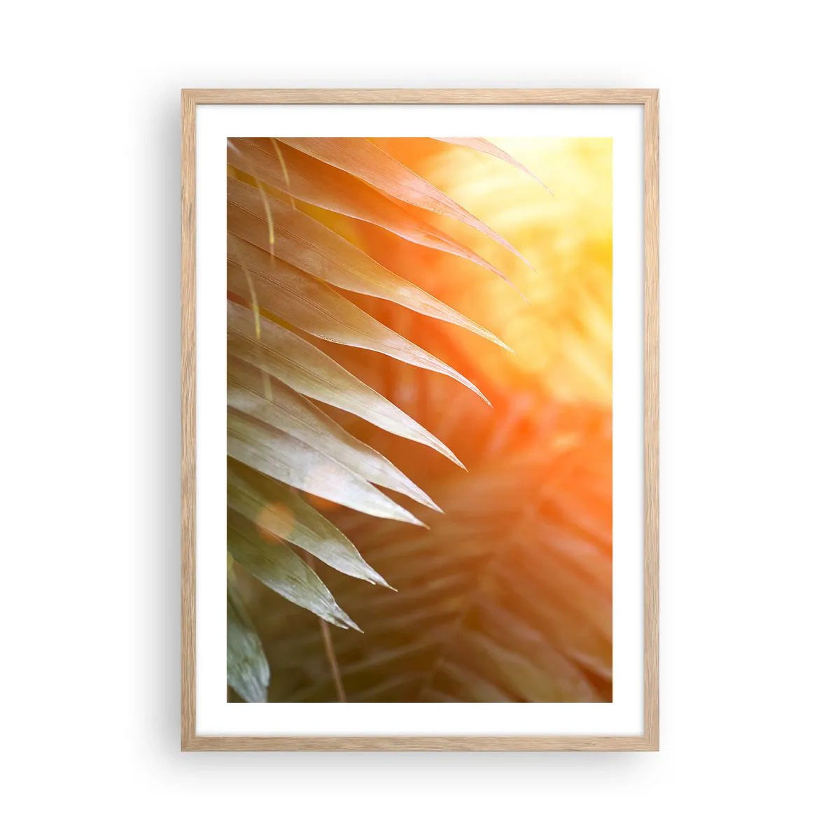 Poster in einem Rahmen aus heller Eiche - Morgen im Dschungel - 50x70 cm