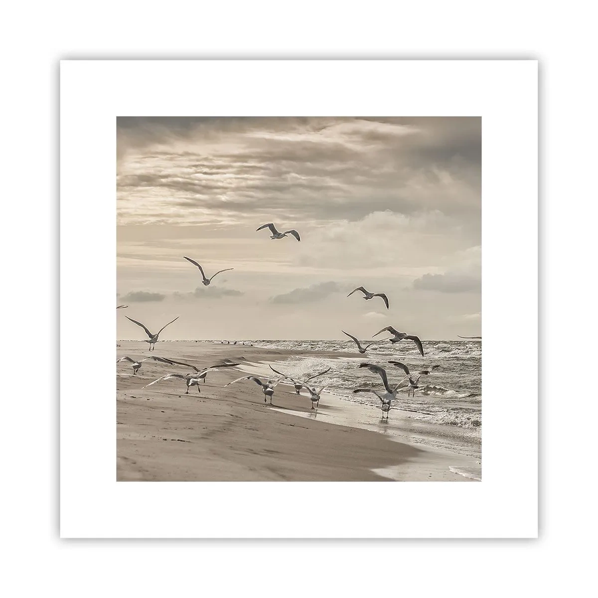 Poster - Meeresrauschen, Vogelgesang - 30x30 cm