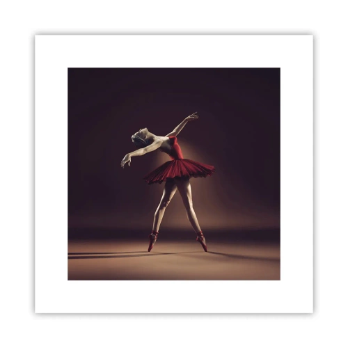Poster - Eine Primaballerina - 30x30 cm
