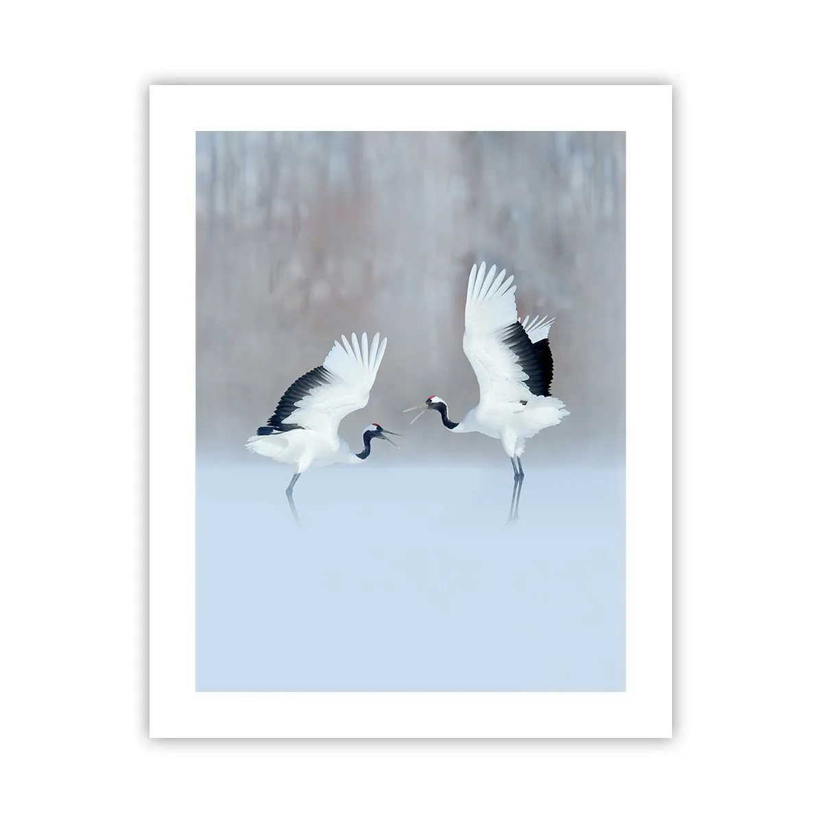 Poster - Tanz im Nebel - 40x50 cm