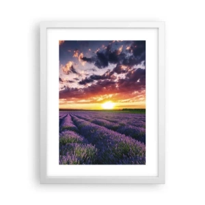 Poster in einem weißen Rahmen - Lavendel Welt - 30x40 cm