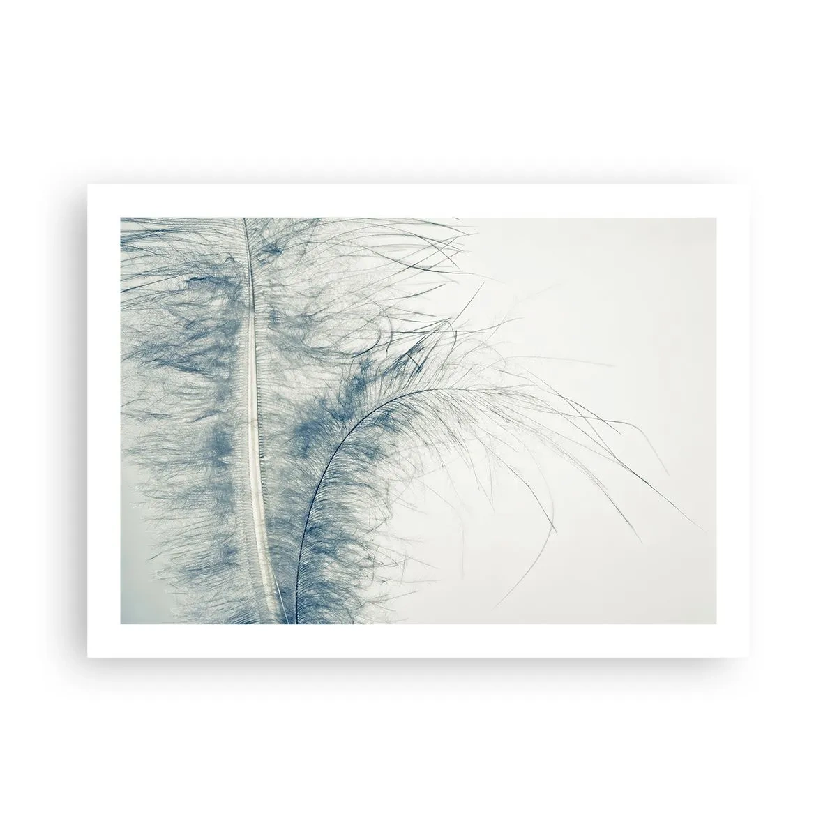 Poster - Flüstern der Natur - 70x50 cm