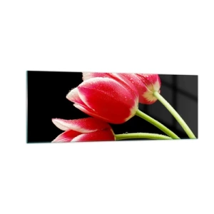 Glasbild - Bild auf glas - Rote Tulpen mit Tautropfen auf schwarzem Hintergrund - 140x50cm - Ein Versprechen der reinen Liebe - Moderne Wanddekoration für Wohnzimmer und Schlafzimmer ARTTOR