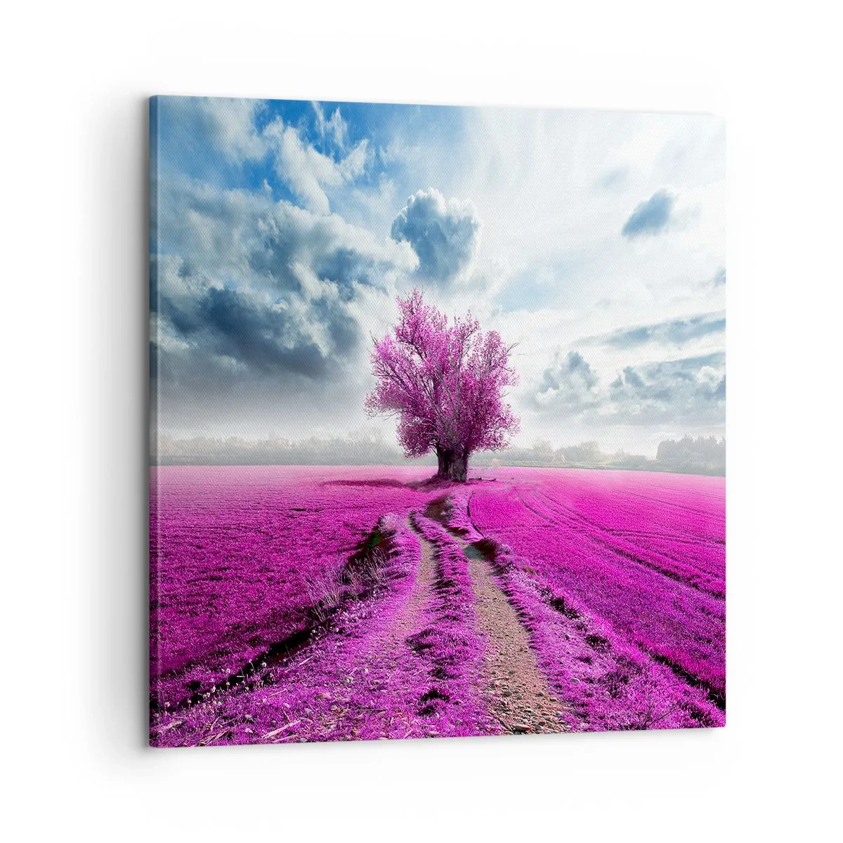 Bild auf Leinwand - Leinwandbild - Heide - Wildnis - 60x60 cm